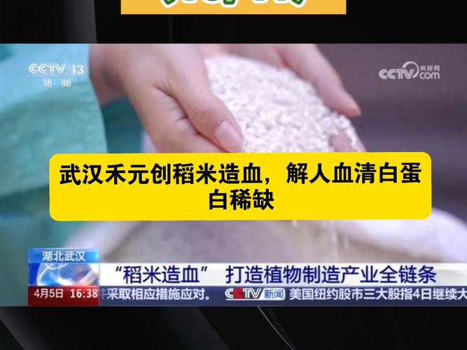 禾元生物 稻米“造血”让人血清白蛋白不再奇缺