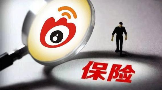 起底新浪人寿 流量巨头的金融新棋局与禾元网络的入局