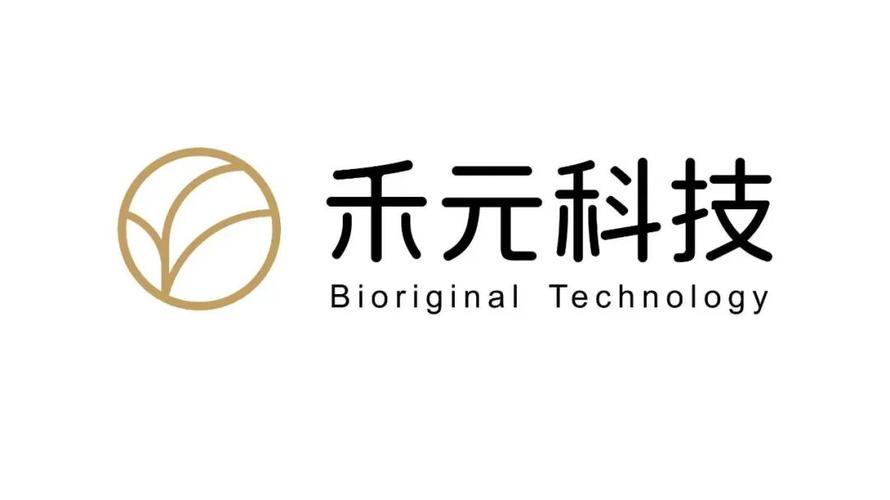 数字新叶，万物生长——记禾元网络斩获DT新叶奖