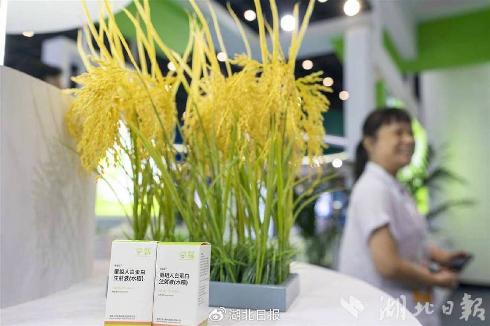 湖北六大未来产业全面起势 从量子科技到6G应用，抢占下一个五年