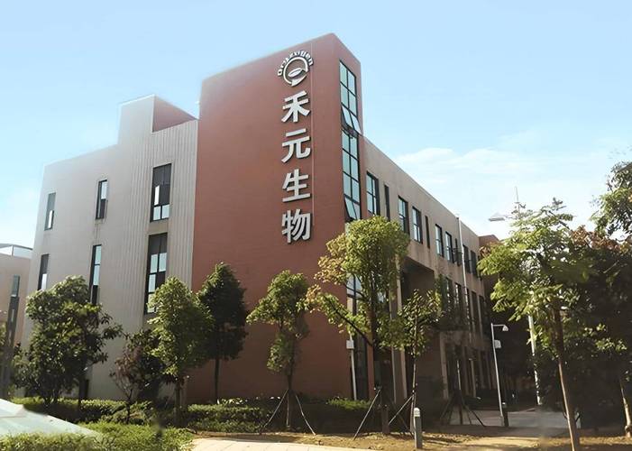 武汉资本市场再迎新成员 禾元生物成功过会，禾元网络崭露头角